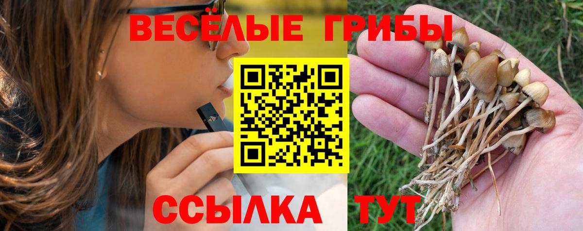ГАШИШ  Амфетамин кристаллы  Лесной  НБОМе  Вход с VPN  МЕФ   Канабис  ГАШИШ  COCAIN 