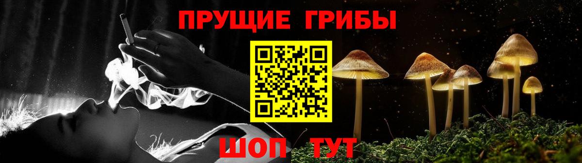 Галлюциногенные грибы Psilocybe Лесной